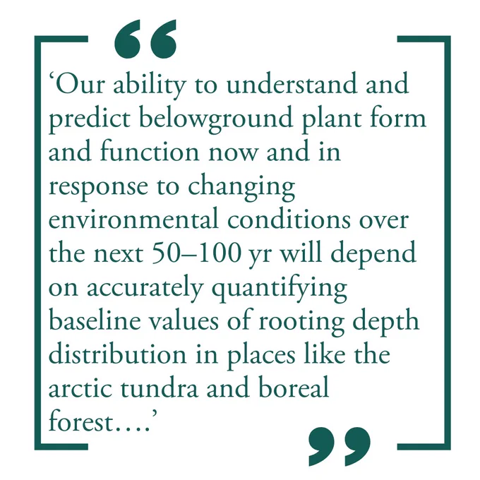 Text reads: Our ability to understand and predict belowground plant form and function now and in response to changing environmental conditions over the next 50–100 yr will depend on accurately quantifying baseline values of rooting depth distribution in places like the arctic tundra and boreal forest.