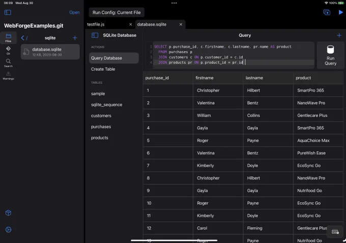 A screenshot of WebForge IDE, and web development environment for iOS. This screenshot is of the iPad version of WebForge, and shows the SQLite database editor. The screenshot illustrates an example of running a custom SQL query on the database. There is a text-box for SQL entry, a "Run Query" button, and the results shown in a spreadsheet-like UI.