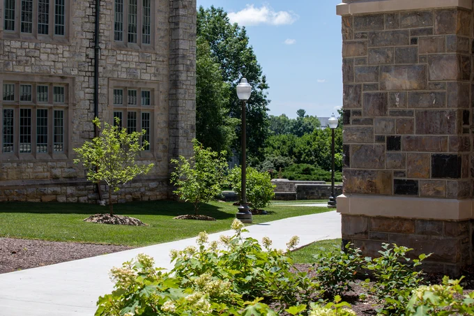 A paved pathway in between grey Hokie Stone Holden Hall. Green baby trees and bushes surround the pathway. 