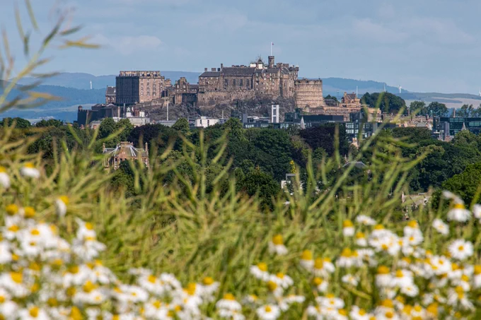 Edinburgh Castle in the background. With blue sky. 
daisies and green plants in focus at the bottom of the image. 