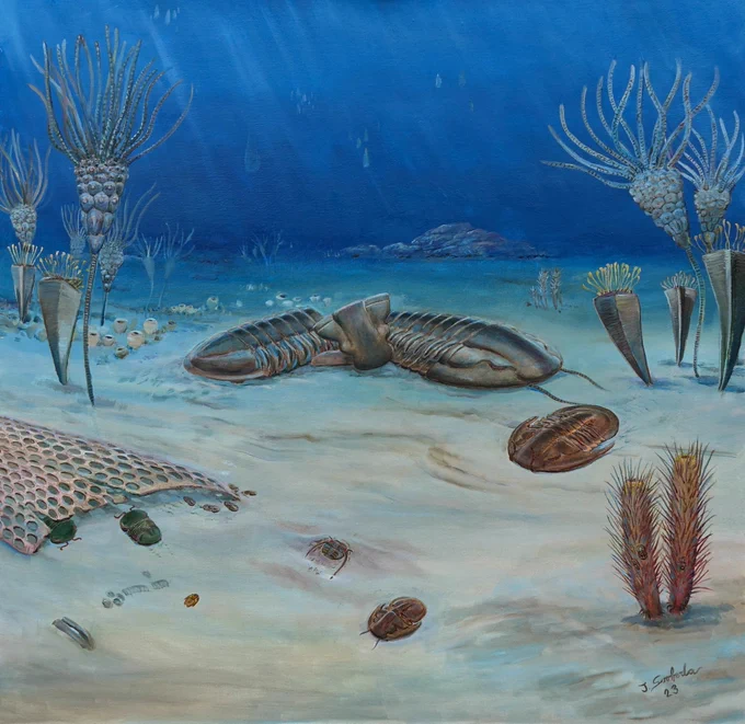 Painted by Jiří Svoboda (paleoart.cz)