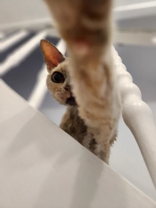 Frau Speck sitzt auf der Treppe und fasst in die Kamera