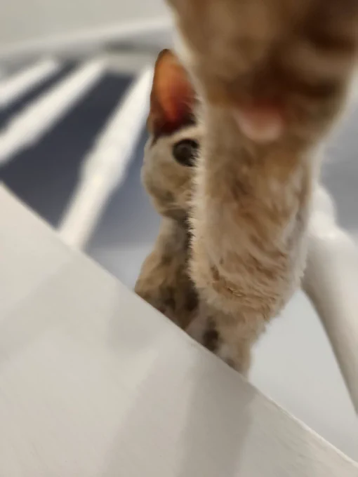 Frau Speck sitzt auf der Treppe und fasst in die Kamera