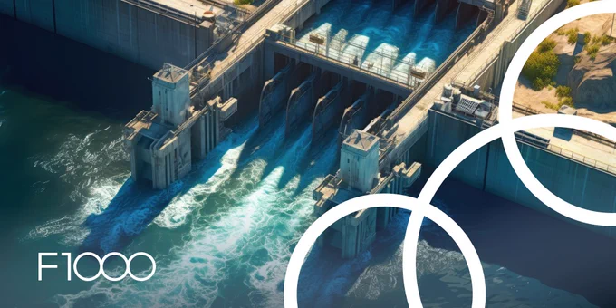 An image of a dam with water rushing through