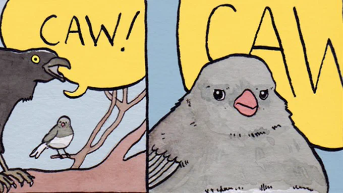 A cropped comic- in the first panel a small, round songbird sitting on a branch is dwarfed by a large raven looming over it- a huge speech bubble shows that it’s shouting “CAW!” The second panel is of the songbird looking extremely disgruntled, with the background almost entirely taken up by a bigger, and apparently louder “CAW!”