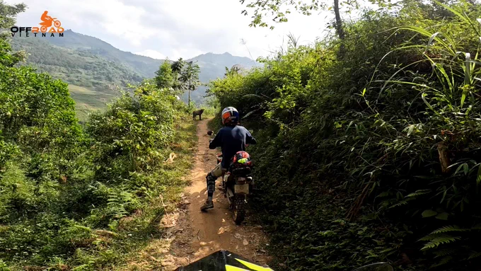 Difficult roads often lead to beautiful destinations. Let’s explore the untouched Vietnam. 🔎
vietnam, motorbike, motorcycle, motocross, scooter, touring, tours, journey, voyage, adventures, rides, trips, holidays, vacation, travel, holiday, trip, ride, adventure, hire, rental, offroad, fun rides, motorbiking, motorcycling, dirtbike, dual enduro, honda, XR150L, CRF150L, CRF250L, CRF300L, XR250, guided, self guided, offroad vietnam, vietnam offroad, less ridden, quiet corners, vietnam motorbike tours, motorbike tours vietnam, vietnam by motorbike, vietnam motorcycle tours, motorcycle tours vietnam, vietnam by motorcycle, vietnam dirtbike tours, dirtbike tours vietnam, vietnam by dirtbike, roof tracks, reliable bike, village track, untouched places, backroad, rough ride, amazing dirt track, off the beaten track, off the tourist trails, away from tourist path, not for the faint of heart, spirit of riding, distant lands, off-road motorbiking, young at heart, young in spirit