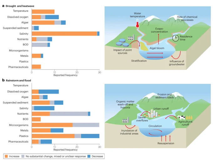 The two left-hand plots show the reported frequency of responses in water quality on the basis of the compilation of literature case studies (Supplementary Data): during droughts, heatwaves and compound events (part a) and under rainstorms and floods (part b). An increase in a water quality constituent is shown in orange, a decrease is shown in blue and no marked change, mixed or unclear responses are in grey. Focus is on case studies that reported concentration responses (except for water temperature). The schematic diagrams show a selection of key processes and main driving mechanisms that impact river water quality during hydroclimatic extremes.