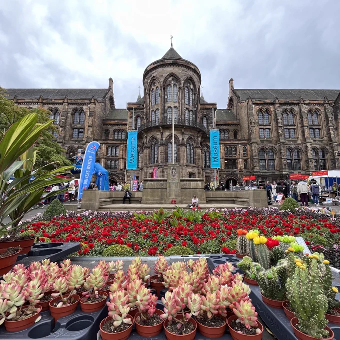 Houseplant sale in front of the main building 