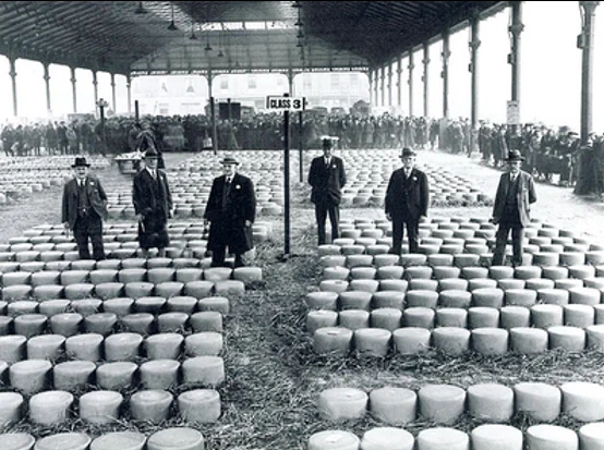 group of men stood among a lot of cheese