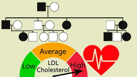 A pedigree with a graph for LDL Cholesterol from Low to High with an arrow on High and a heart