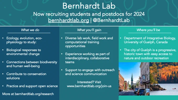 A poster describing the opportunities available in the Bernhardt Lab describing what we do, what you'll gain and where you'll be