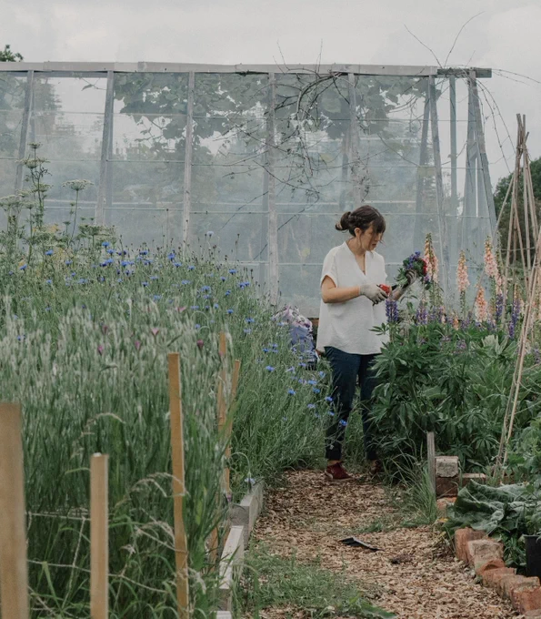 A woman is gardening in Bloom Sheffield’s flower garden. She is standing on a wood chip path and on either side of her are lots of tall wild flowers, some as tall as her. Behind her at the back of the garden is a large greenhouse structure made from glass and wood. 