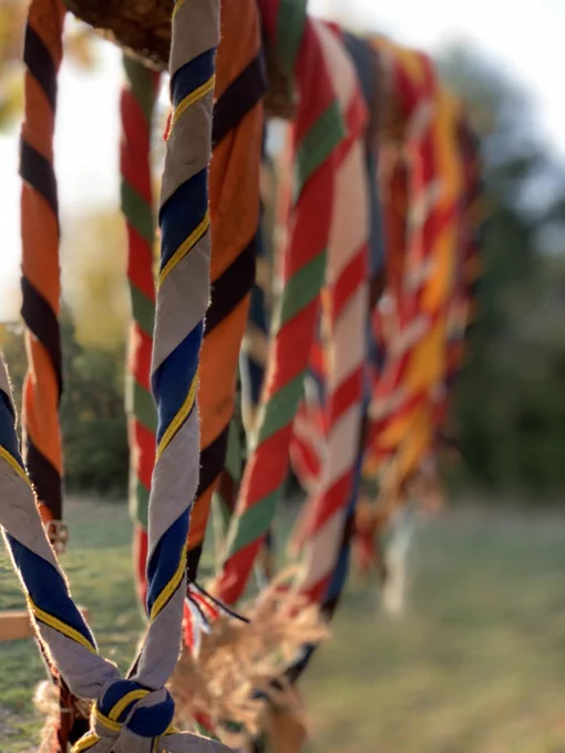 Une dizaine de foulards scouts sont accrochés à une branche. Ils sont tous de couleurs différentes et noués avec des nœuds carrés.