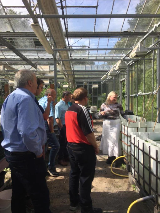 Grace O' Sullivan, PhD candidate UCC demonstrating different optimal growth patterns of Duckweed from her experimental research.