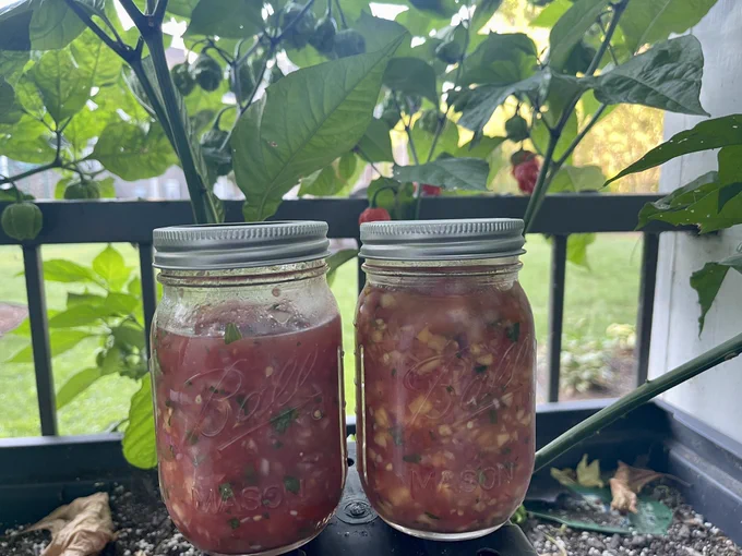 2 types of Carolina reaper salsa photographed in front of reaper plants. Styles of salsa are reaper red salsa on the left and reap the peach mango salsa on the right.