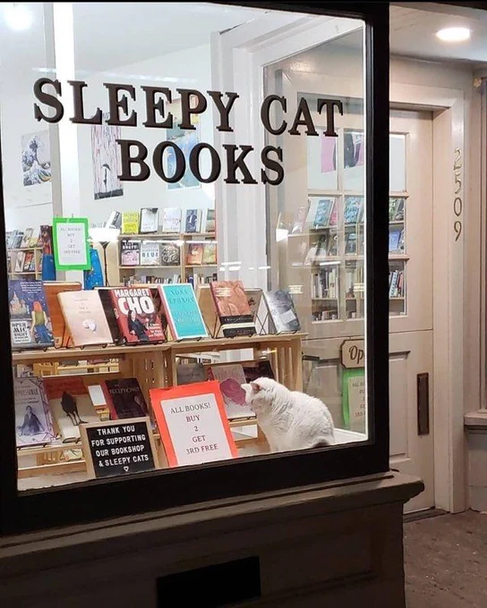 A bookstore shopfront, named 'Sleepy cat books'. Inside the window is a sleepy white cat with its head drooping.