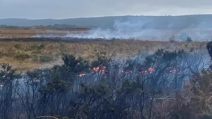 Image shows a wildfire in a UK heathland. 