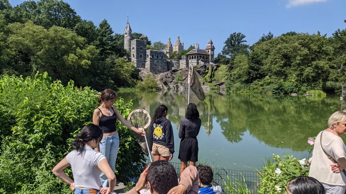 A group of young people stands on the bank of a lake. One of them holds a net. A castle rises in the distance. They are students collecting dragonflies in Central Park, to conduct an analysis on dragonfly and damselfly wings. Credit: Safinah Ali