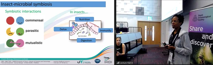 Loretta speaking on insect-microbial symbiosis at Ento23