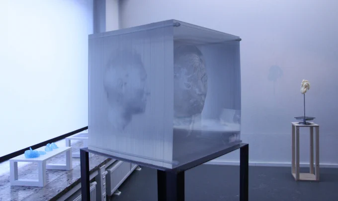 HyungJun Park: I am an Artefact, 2012, mixed media installation, MRI scan, two-channel video, beeswax, acrylic panel, Aerogel, ultrasonic humidifier