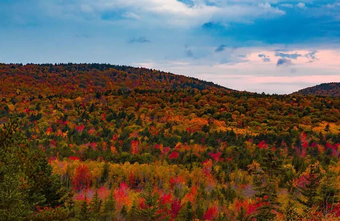 Fall foliage in Acadia National Park in 2016.