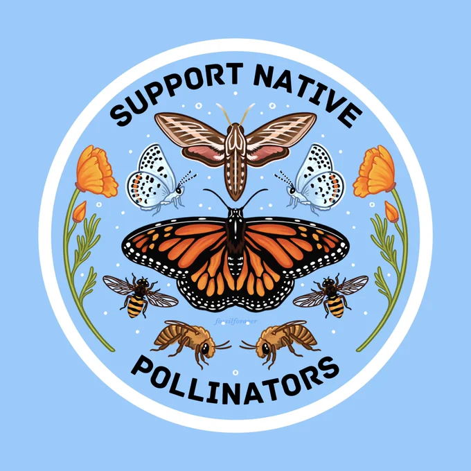 An illustration of a round circular sticker design, featuring various North American native insects which help pollinate native flowers. They include: a white-lined Sphinx moth, a monarch butterfly, two Icaricia butterflies, two hover flies, and two squash bees. A pair of golden poppies frames the illustration, while curved black text on the top half and bottom reads: “Support Native Pollinators”
