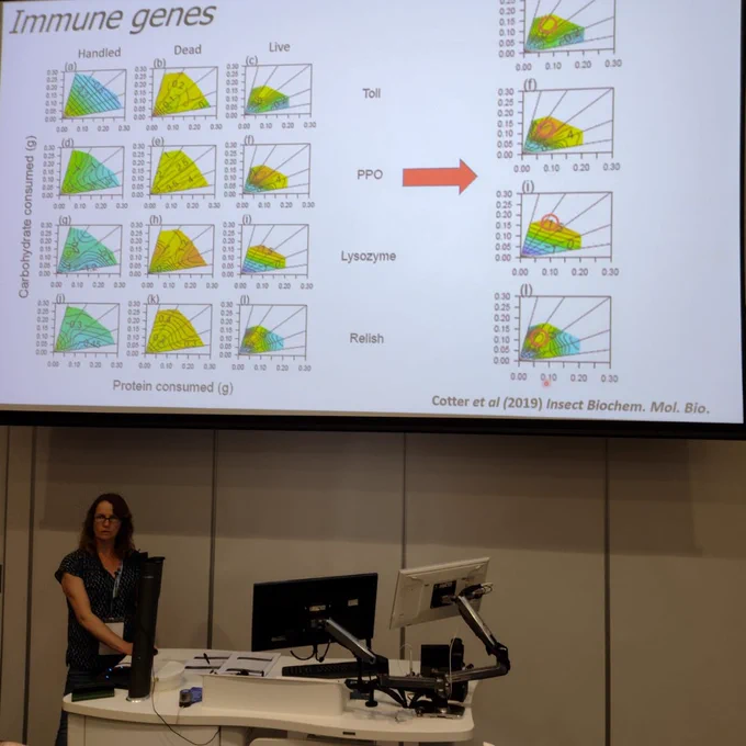 Immune genes - Sheena Cotter's graphs displayed on a presentation screen while she delivers her talk