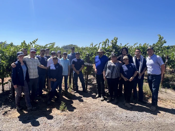 Patz & Hall team gathered together as a group in a lush green vineyard with blue skies. 