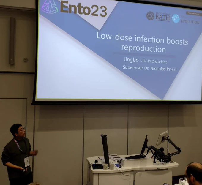 Jingbo Liu, University of Bath delivering a talk on terminal investment encoded by immune gene expression.