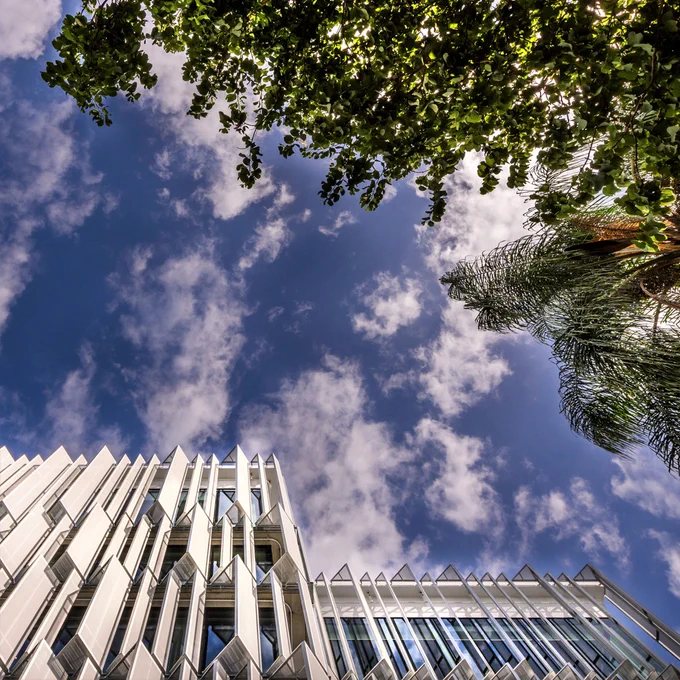 A picture of the sky and trees