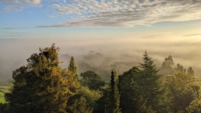 A photograph of the landscape around Dunster Castle covered in mist on a bright morning. Trees are visible in the foreground with mist covering the trees and fields behind. The sky above is blue and dotted with clouds. 
