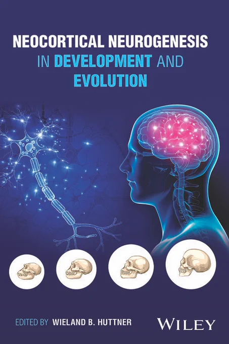 Neocortical Neurogenesis in Development and Evolution
Editor(s):Wieland Huttner
First published:8 August 2023
Online ISBN:9781119860914 |DOI:10.1002/9781119860914
Copyright © 2023 John Wiley & Sons, Ltd. All rights reserved.

Includes chapter from Molnar Lab: Towards the Transcriptionally based Classification of L6b in the Adult Mouse Brain (Pages: 317-330)
Thomas Henning,  Sara Bandiera,  Zoltán Molnár
https://doi.org/10.1002/9781119860914.ch16
