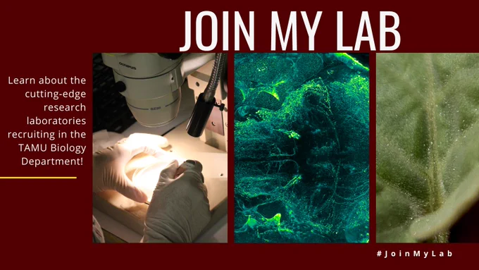 Learn about the cutting-edge research laboratories recruiting in the TAMU Biology Department!