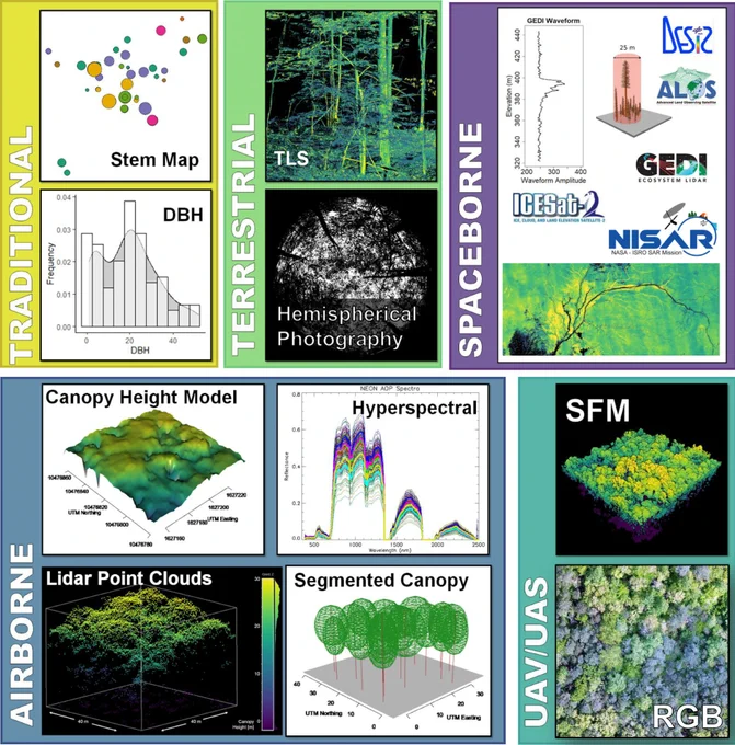 Graphical depictions of real data taken from many different platforms, perspectives, and sensors used in forest structural diversity metric calculation. Traditional measurements of dbh (dbh tape) and stem locations (compass and transect tape) used to make stem maps and tree size distributions. Terrestrial measurements of canopy structure from a 3D terrestrial lidar scanner and hemispherical camera. Spaceborne data examples including a GEDI waveform and backscatter from synthetic aperture radar. Airborne data showing a canopy height model, point cloud, and segmented forest canopy and hyperspectral signature, all from NEON AOP data. UAV structure-from-motion point cloud and RGB orthoimagery