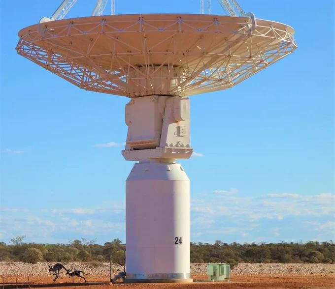 A single dish-like antenna sits on a concrete pillar pointing to the sky. At the bottom left of the image are kangaroos hopping away from the structure.