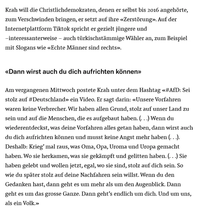 Artikel aus der NZZ über AFD Politiker Maximilian Krah