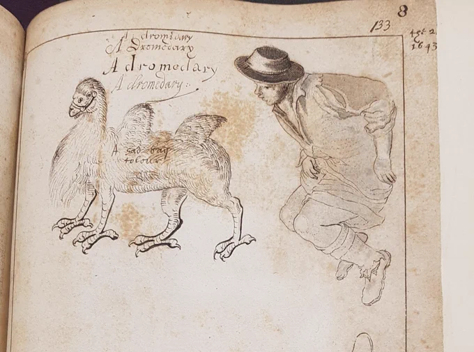 Pen and ink sketch of an animal like a cross between a dromedary and a gryphon, with a sketch of a man in smock and hat alongside. From Harley MS 1100, folio 133