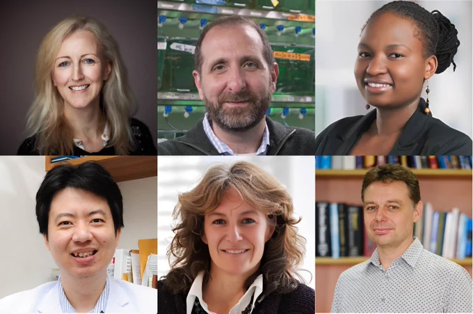 A collage of Professors: Geraldine Gillespie, Direk Limmathurotsakul Emelda Okiro, Jenny Taylor, Rogier Van Doorn, and Richard White.