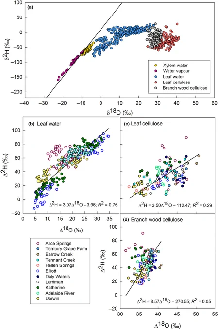 Observed covariation between hydrogen and oxygen isotopic compositions on a delta basis for xylem water, water vapour, leaf water, leaf cellulose and branch wood cellulose; and, on a 2H-18O enrichment basis relative to xylem water, for leaf water, leaf cellulose and branch wood cellulose. 