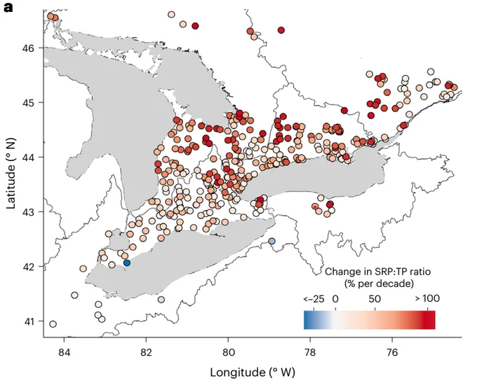 Percent change in annual soluble reactive phosphate (SRP) to total phosphate ratios (TP) for 372 watersheds showing greater increases in the northern watersheds.