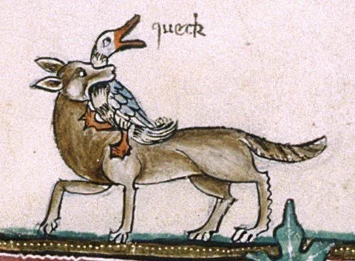 A medieval drawing of a fox or wolf with its jaws around the neck of a goose. The word "queck" is written next to the open mouth of the goose