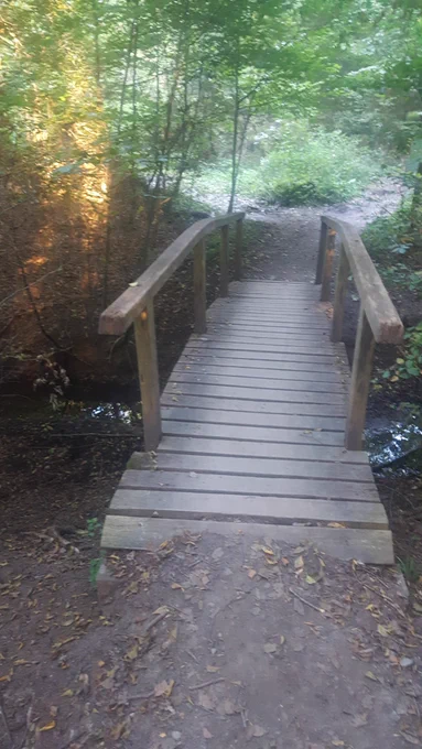 Small wooden bridge in the middle of the woods crossing a small brook.