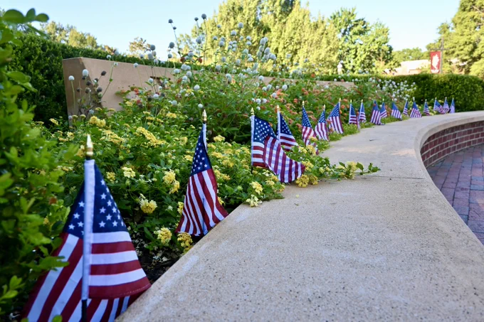 Elon SGA put out American flags last night to commemorate 9/11.