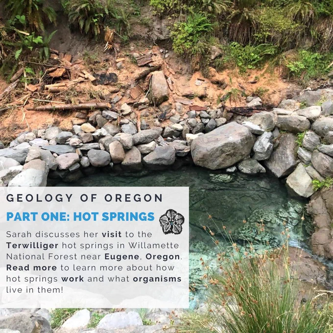 Background image: Rocks surrounding a small pool of water that has blue green water. Around this there is some sandy soil and greenery. Foreground: Geology of Oregon, Part One: Hot Springs. Sarah discusses her visit to the Terwilliger hot springs in Willamette National Forest near Eugene, Oregon. Read more to learn about how hot springs work and what organisms live in them! Time Scavengers logo of a monochromatic blastoid and foraminifera. 