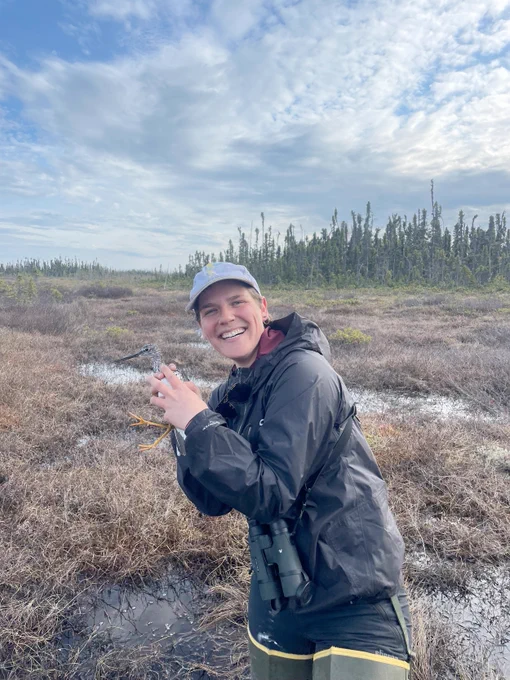 Photograph of Rozy Bathwick in hip waders holding a Greater Yellowlegs in a wetland in Alaska with a partly cloudy sky and somewhat stunted conifers in the background.