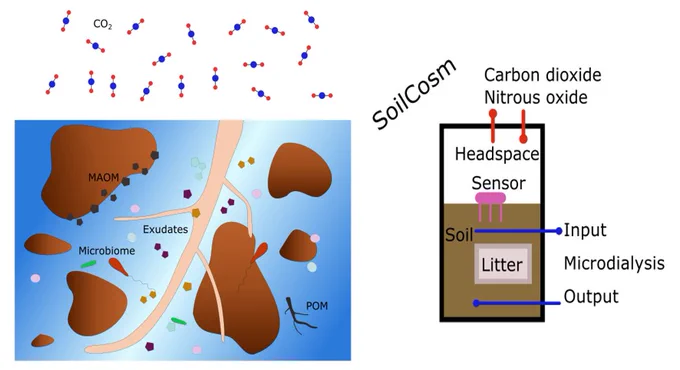 Left panel shows cartoon of CO2 above and a closeup of root in soil showing major carbon pools. Right side shows a SoilCosm chamber instrumented to measure several fluxes.