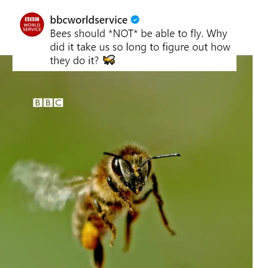 Watch this BBC Science report: https://www.instagram.com/reel/CxXlVe3RXMP/