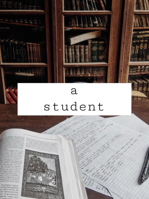profession: student