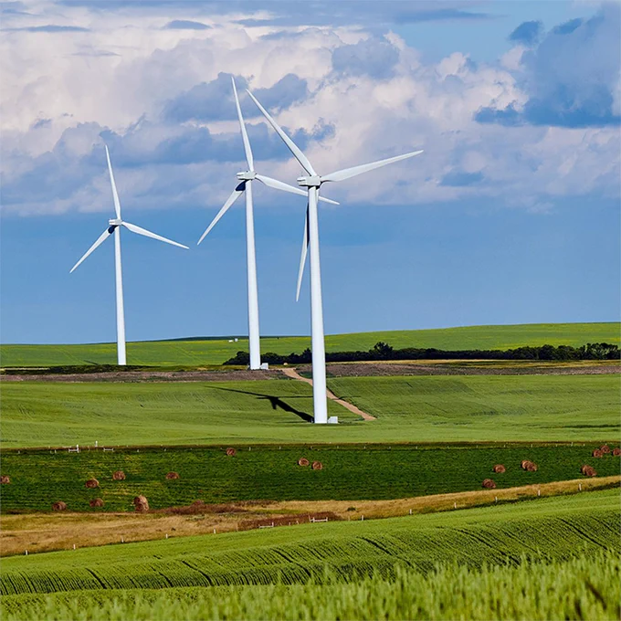 Grüne landwirtschaftliche Wiese mit vier Windrädern.