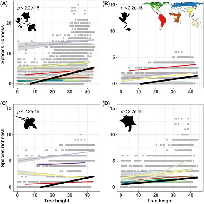 Relationship between tree height and species richness for all gliding vertebrate species (A) and separate classes (B–D). Black lines illustrate linear regressions for all species pooled together. Regressions for separate biogeographical regions (BGRs, coloured lines: see map in top right corner as legend) were only considered when they were significant.